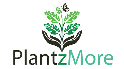 Plantzmore